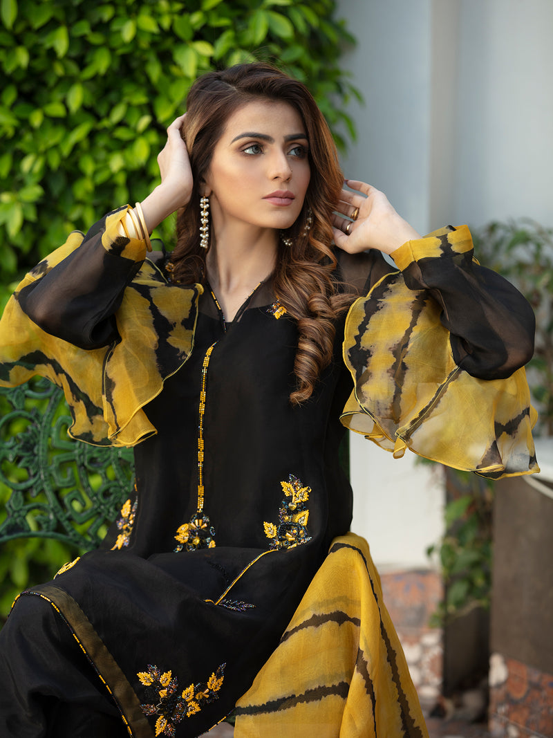 Resham Worked Black Organza Outfit