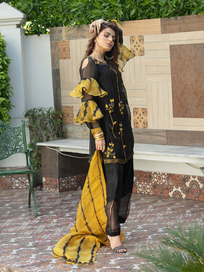 Resham Worked Black Organza Outfit